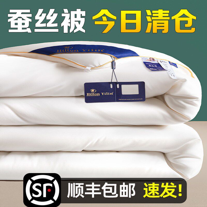 出口A+蚕丝被h100%桑蚕丝春秋被夏凉被空调被学生被子被芯加厚冬