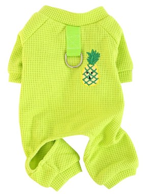 宠物博美泰e迪比熊小型犬狗狗衣服四脚牵引绳薄款春秋款夏季防掉