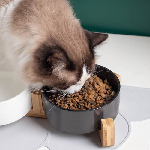 黑色猫碗陶瓷f防黑下巴宠物猫咪食盆水盆喝水碗防打翻护颈猫狗专