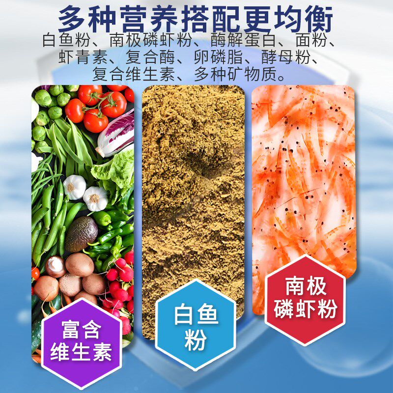小火龙鱼饲料东方蝾螈鱼食娃娃鱼六角恐龙食物蛋S白高缓沉底栖鱼