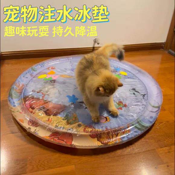 宠物注水冰垫子夏季天猫咪水床拍拍加厚耐抓降温海洋世界狗狗睡垫