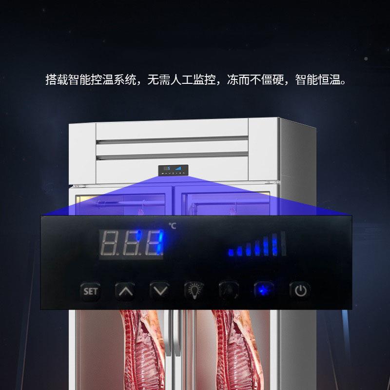 挂肉柜商用冷冻冷藏保鲜柜肉吊肉柜挂牛羊冰柜柜立TMI式冷展示酸