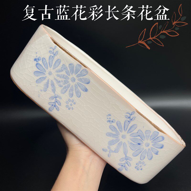 长条花盆多肉陶瓷盆栽绿植菖蒲组合室内桌面中国风蓝色的花复古花