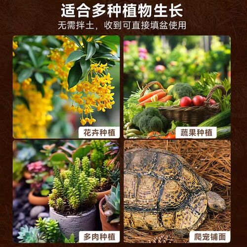 松针土腐殖土天然腐叶土兰花多肉君子兰专用腐熟松针叶营养土通用