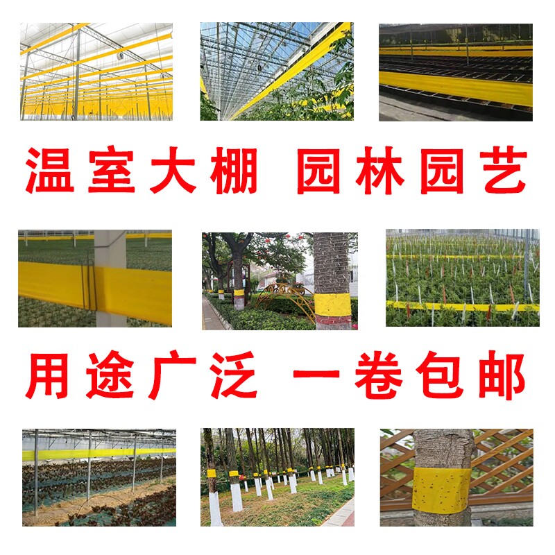 园林防虫胶带双面粘虫带苗木果树防虫胶带大棚诱虫胶带防水耐晒