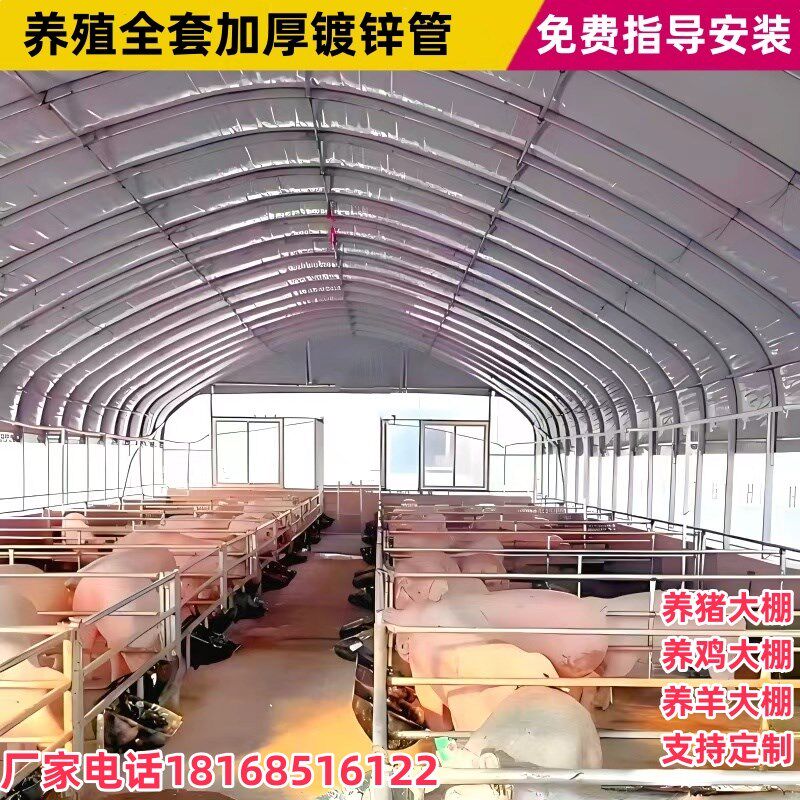养殖大棚骨架养鸡大棚养牛大棚全套养猪大鹏全套养羊大棚家用大棚