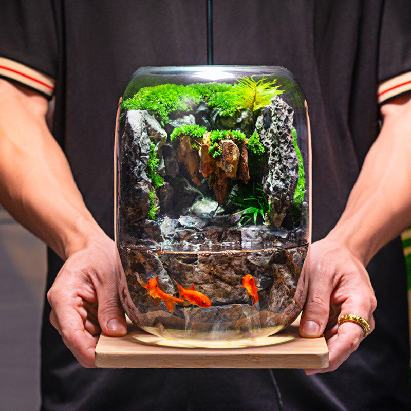 石上清泉流水款养鱼缸真植物苔藓微景观生态瓶办公室成品室内送礼