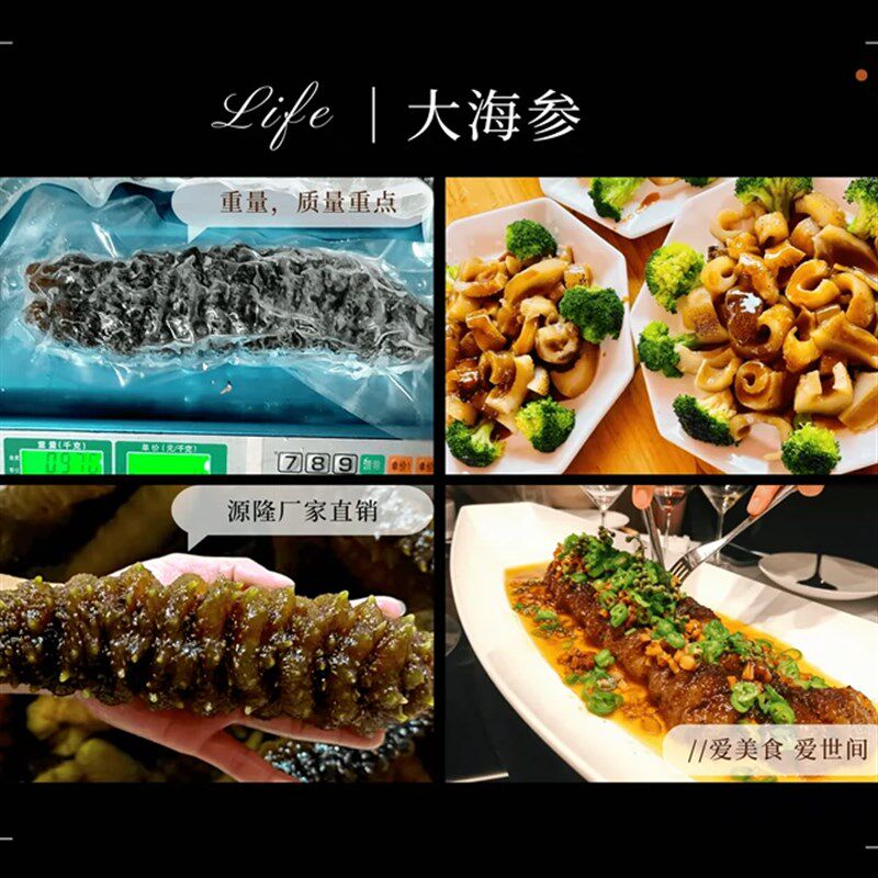 即食海参大海参野生海参大乌参水发厚肉螺纹参食品佛跳墙 1条包邮