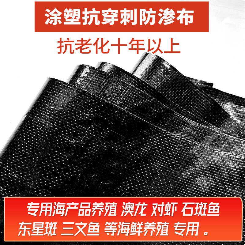 鱼塘防渗布防渗膜加厚养殖鱼池蓄水池防水布黑色地膜防漏编织膜