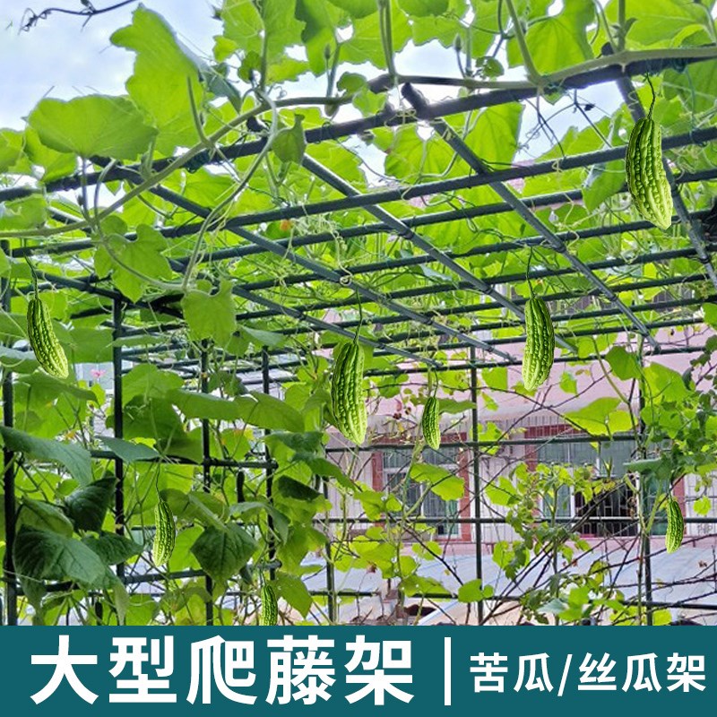 葡萄架子园艺花架户外庭院种菜爬藤架黄瓜豆角月季植物支撑杆