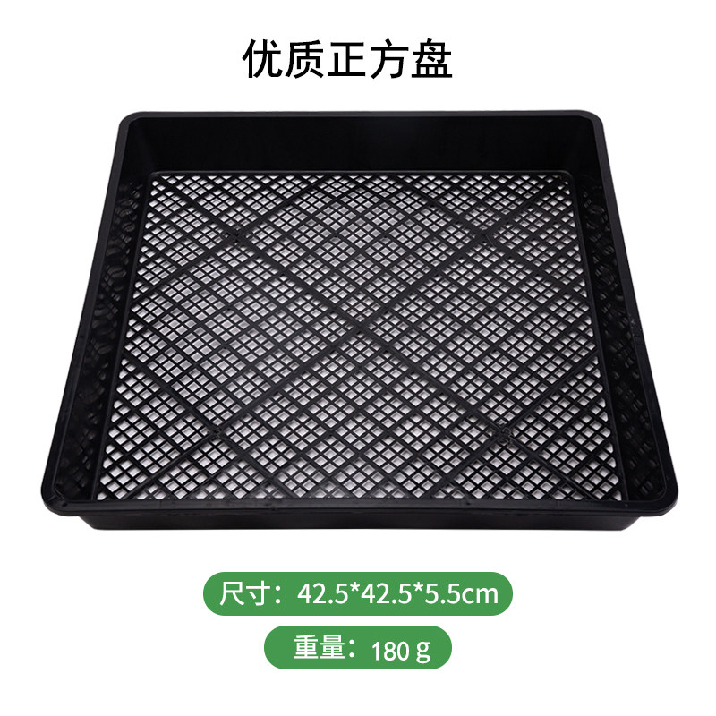 种植盘苗盘芽苗盘石斛盘长方盘育苗托盘正方盘芽菜盘育苗盘包邮