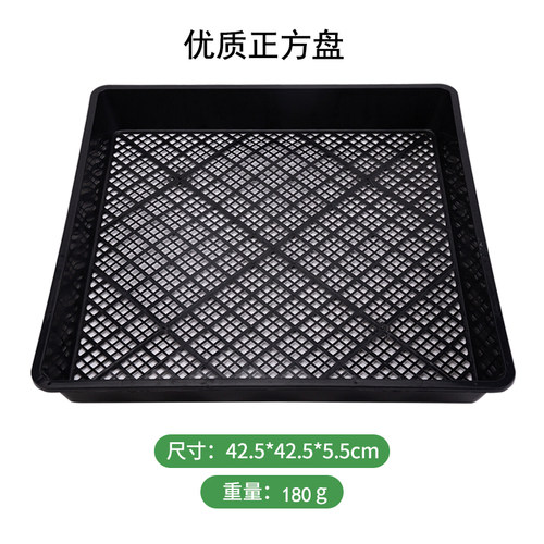 种植盘苗盘芽苗盘石斛盘长方盘育苗托盘正方盘芽菜盘育苗盘包邮