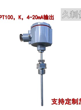 防爆热电阻一体化温度传感器PT100变送器4-20maBT4隔爆CT6定制K型