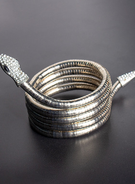 男士新品项链女百搭高级感欧美项饰ins冷淡风蛇骨链蛇形项链