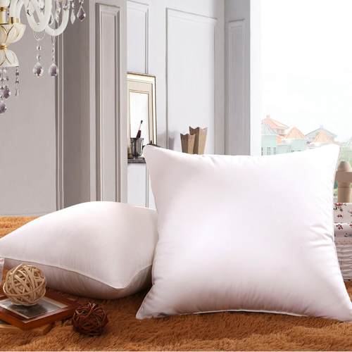 厂家全棉布羽丝绒抱枕芯沙发靠垫芯 45 50 55