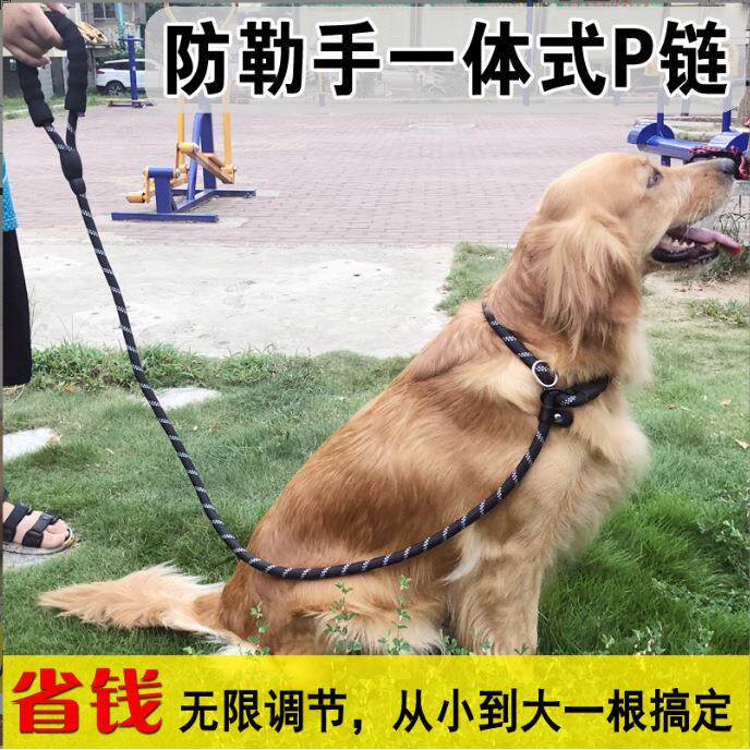 厂家直销宠物牵引绳P链尼龙狗牵引绳耐拉牵引带遛狗绳狗链子