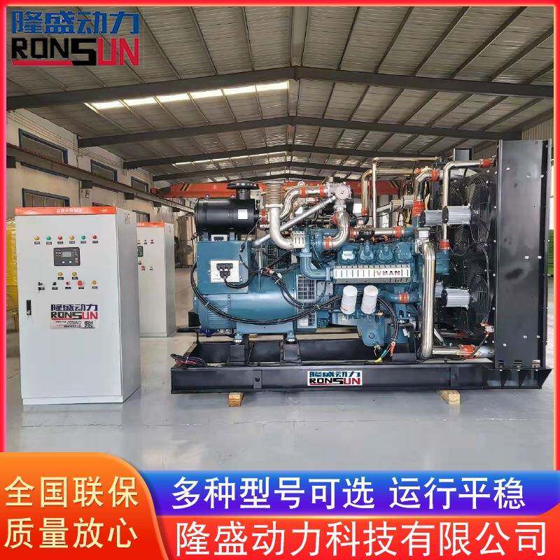250kw沼气发电机开式沼气发电机组大型超市用发电机工厂供应