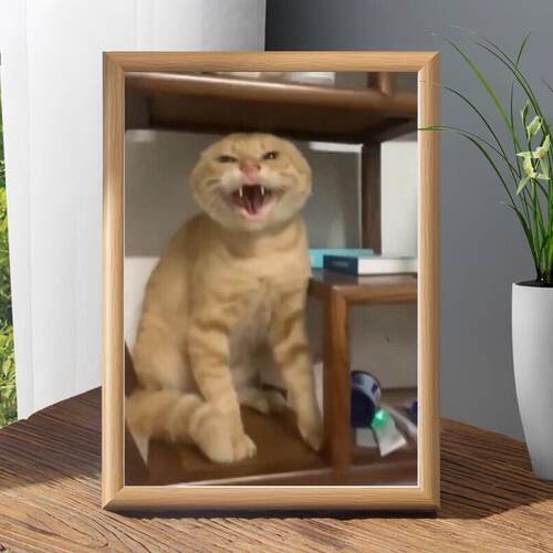 圆头耄耋猫猫哈气可爱治愈猫meme哈基米自由意志可挂装饰相框摆台