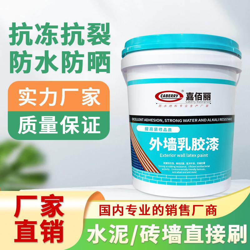 跨境 防水耐晒外墙漆 彩色室外墙面翻新涂料 水性外墙涂料乳胶漆