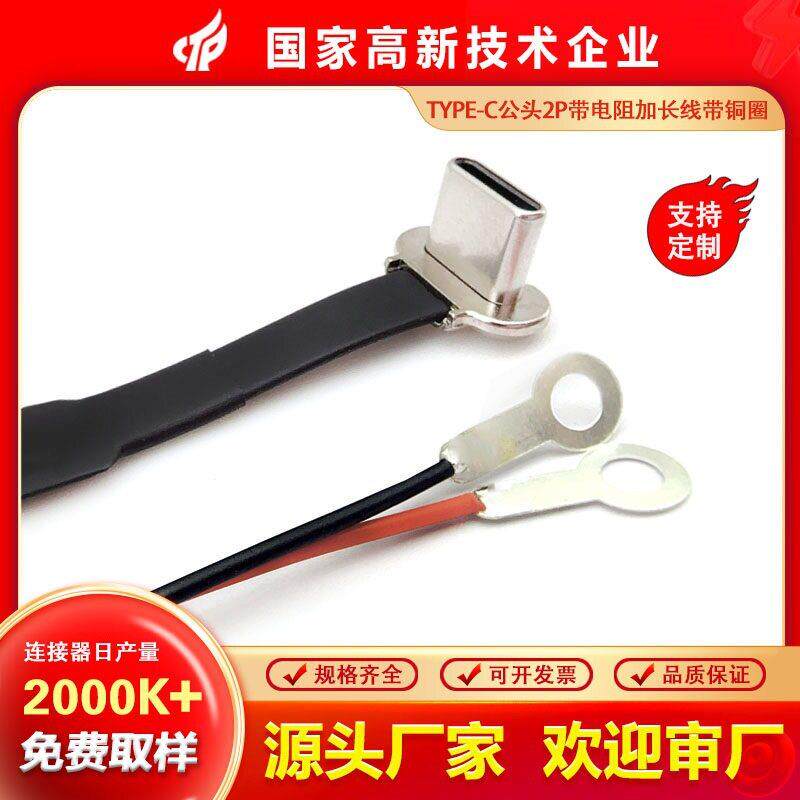 韩国TYPE-C摩托车充电背夹拉伸公头FPC软排线 2PIN焊盘加长电子线
