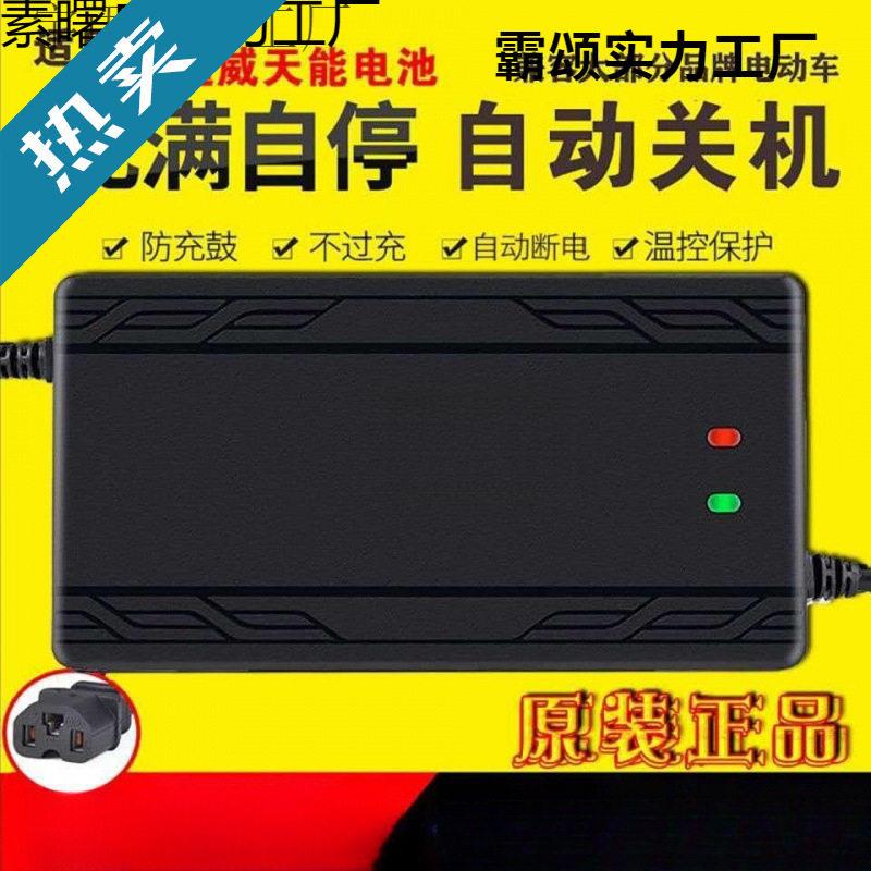 适用电动车电充电器电动自行车三轮家用商用包邮可