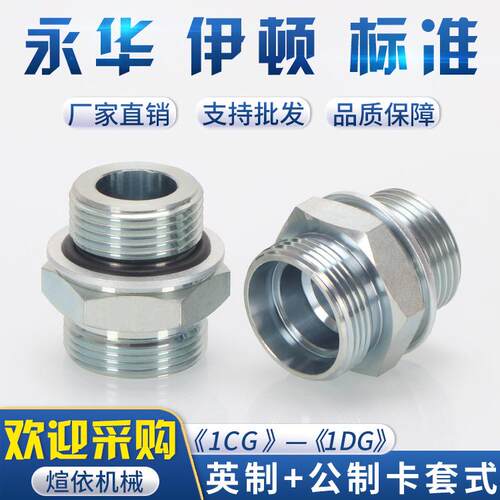 压油管接头1CG公制24°度锥卡套直通英制管螺纹O型圈密封端直接
