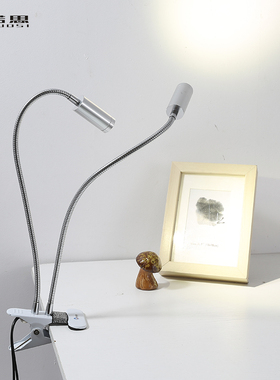 诺思ledd夹子台灯酷毙双头聚光射灯USB迷你工作台卧室床头化妆鱼