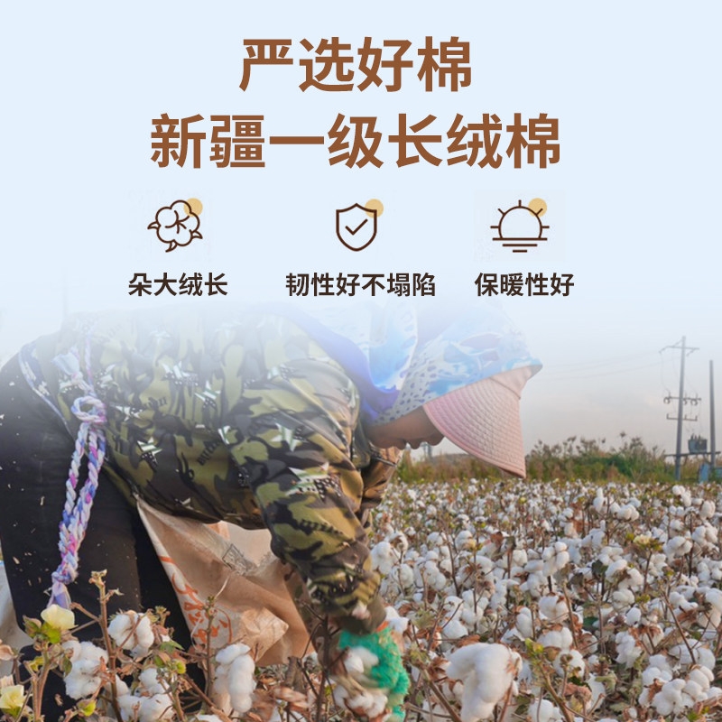 新疆长绒棉被一级棉花被芯加厚保暖纯正棉M絮床垫被褥子冬手工棉,床上用品,棉花被,淘宝优惠券,粉丝福利购,淘宝优惠卷