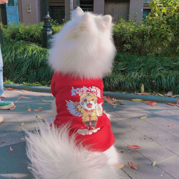 春夏装小中大g型犬夏季薄款四脚汗衫衣狗狗衣服宠物大狗金毛萨摩