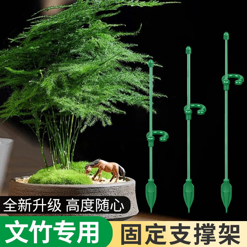 园艺支撑杆文竹j花架固定器蝴蝶兰花支架植物固定架植物防倒伏