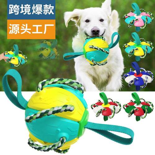 宠物用品工厂家公司爆款亚马逊互动户外飞盘碟训练足球狗玩具