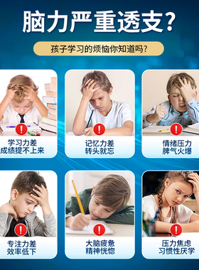 聪明大脑 思维清晰 bufony文冠果 buf文冠果 布芙尼文冠果