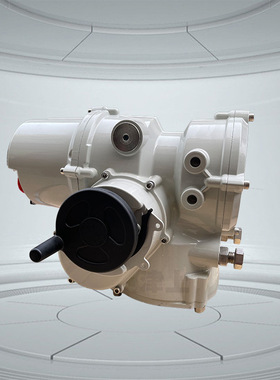 IT250 IT500 罗托克机型国内生产自动化电动阀执行器