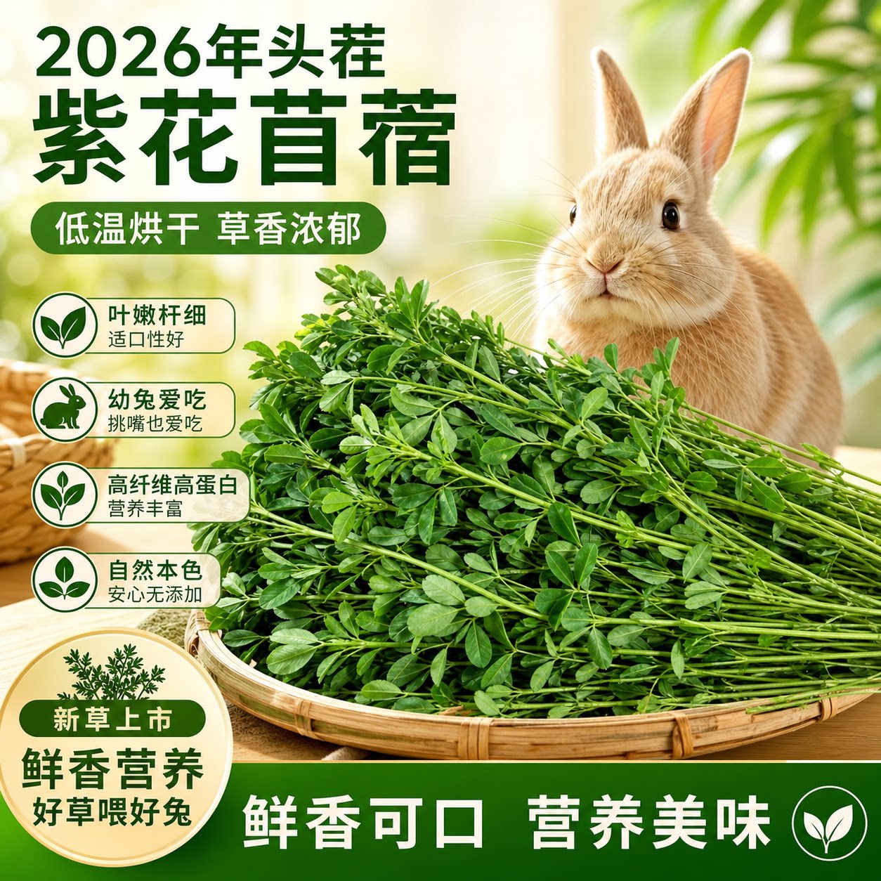 2026头茬紫花苜蓿兔粮干草低温