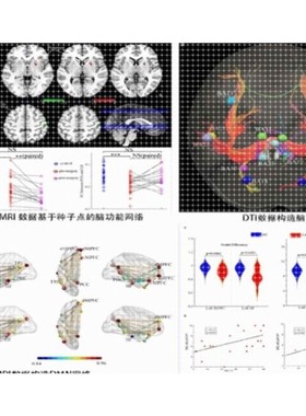 影像组学分析入门数据分析人工智能Python深度解读sci文献教程视