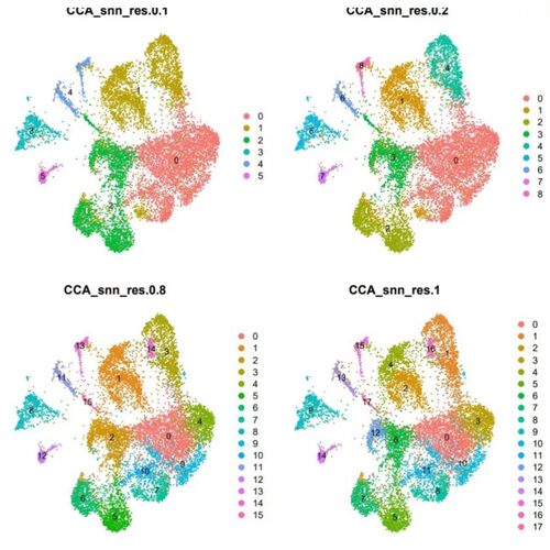 DFT 光电催化 VASP cp2k MS Gaussian 代算 模拟 计算化学