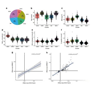 citespace 作图代分析共现聚类时区时间线国家文献可视化
