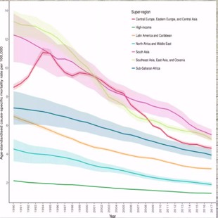 GBD数据库分析 选题思路医学sci发文 GBD全球疾病负担数据库挖掘