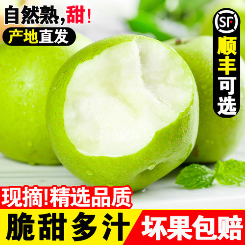 现摘精品青皮梨子5斤带箱