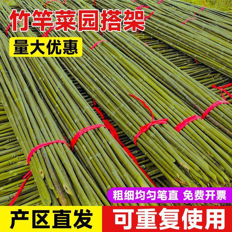 竹竿菜园搭架竹子户外旗杆黄瓜豆角爬藤菜架竹杆支架豇豆搭架杆