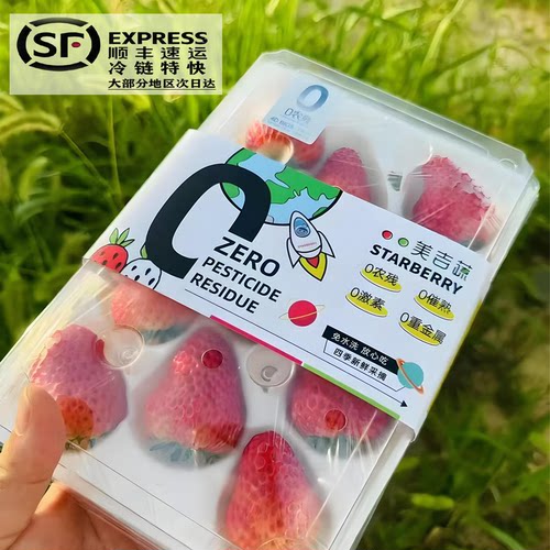 9.06现摘丹东九九草莓新鲜水果
