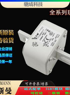 巴斯曼170M6017 170M6018 170M6019 厂家供货厂价直供 紧凑熔断器