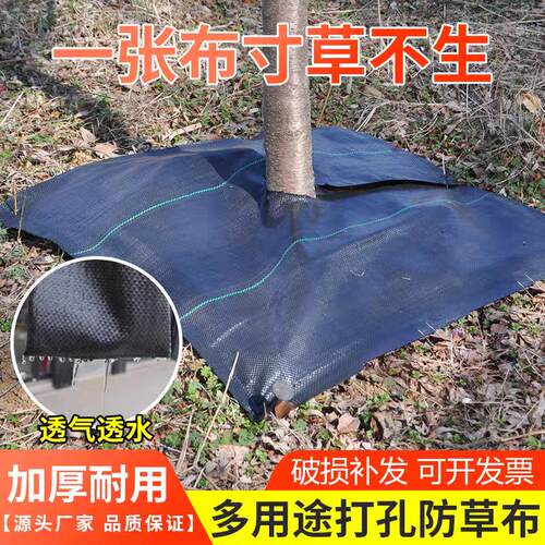 防草布打孔切片除草布抗老化果园果树遮草盖草布农用园艺地布地膜