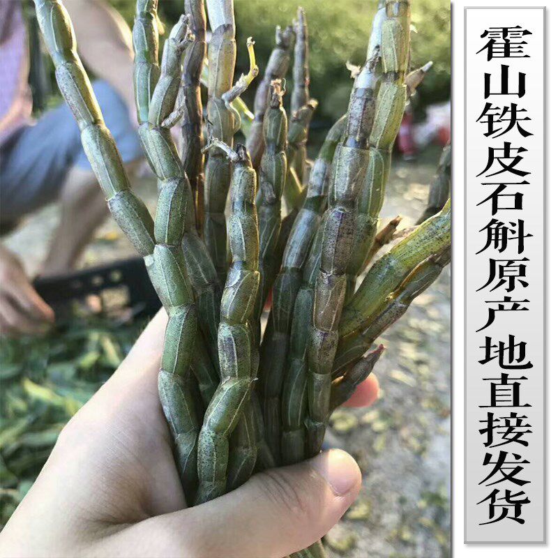 正宗霍山鲜石斛鲜条500g煲汤用品安徽六安枫斗官方道地产铁皮石斛