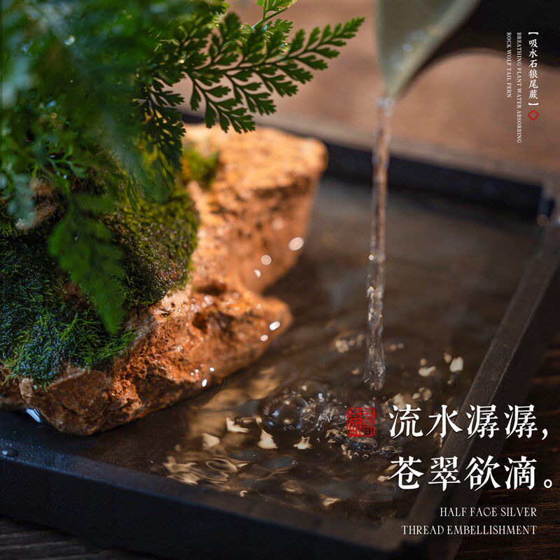 吸水石绿植狼尾蕨盆栽天然假山微景观水培植物懒人好养桌面小摆件