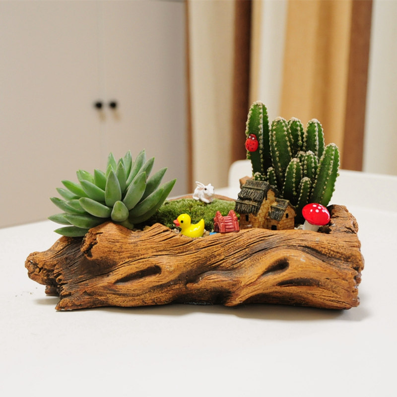 苔藓微景观办公室小盆栽创意迷你diy植物室内植物小盆景微缩景观