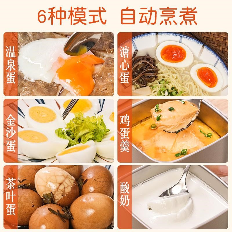 110v美规煮蛋器家用多功能温泉蛋预约蒸蛋器自动断电煮鸡蛋早餐机