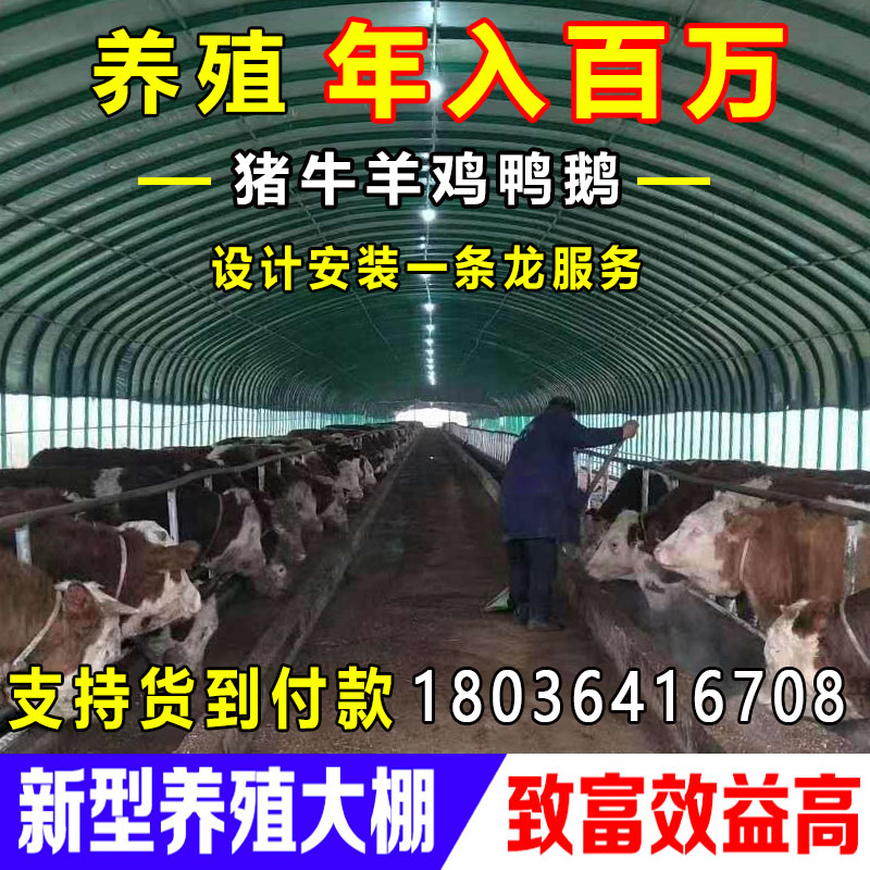 养殖大棚骨架钢管全套温室蔬菜保温养鸡场鸭鹅兔猪舍牛圈羊棚搭建