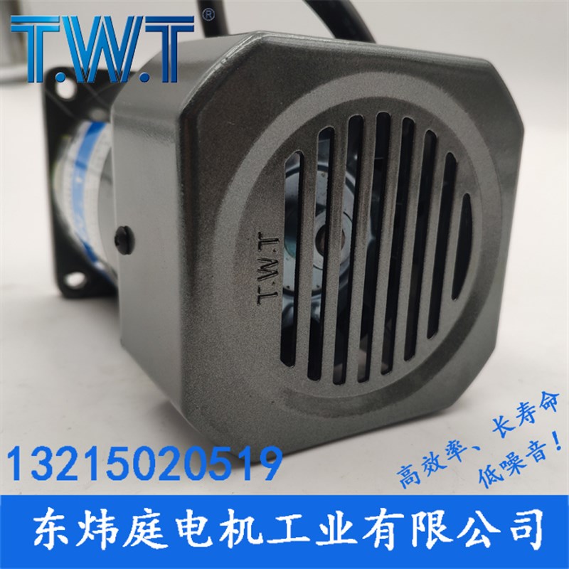 TWT电机 120W三相电机5IK120GN-YF  5IK120GU-SF 台湾东炜庭电机