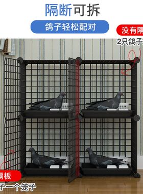 鸽子笼养殖笼鸽舍鸽棚大白鸽信鸽肉鸽多层铁艺网格大型家用配对笼